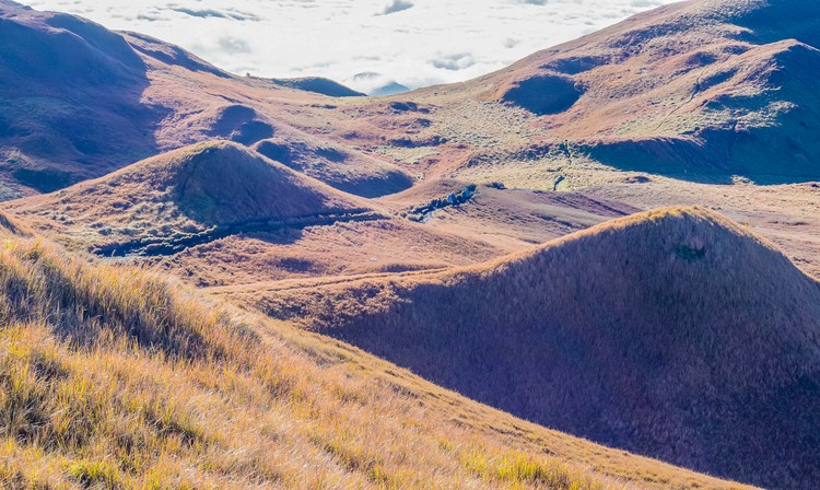 Rolling Hills
