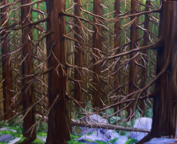 deep in the spruce