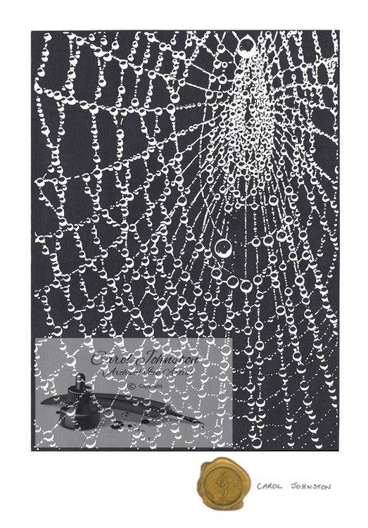 CJ Spider's Web with Water Droplets