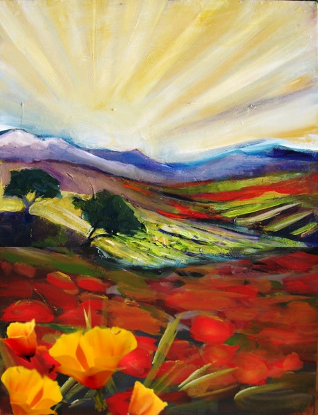 california Poppies