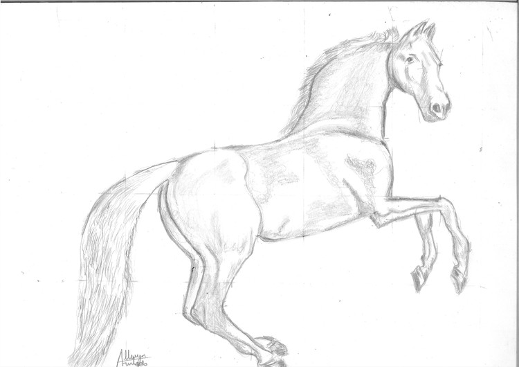 Horse