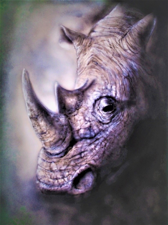 Rhino` finished 700 x 500 mm  (3)
