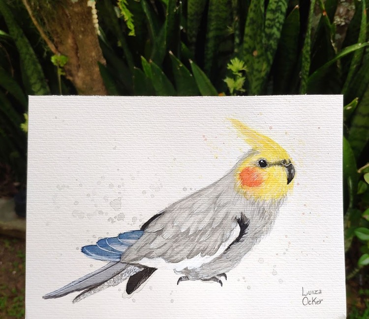 Cockatiel
