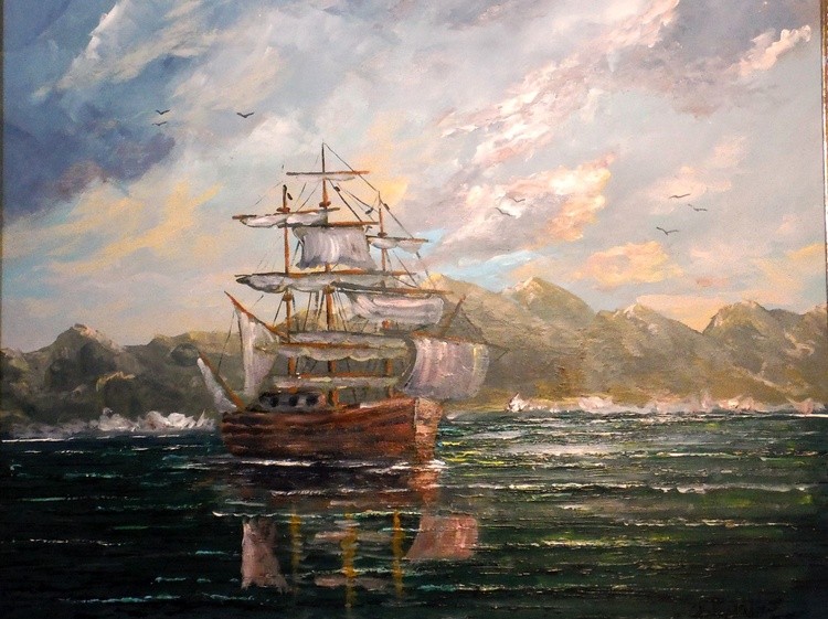 The Cove