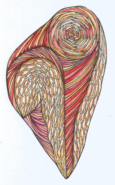owl0002