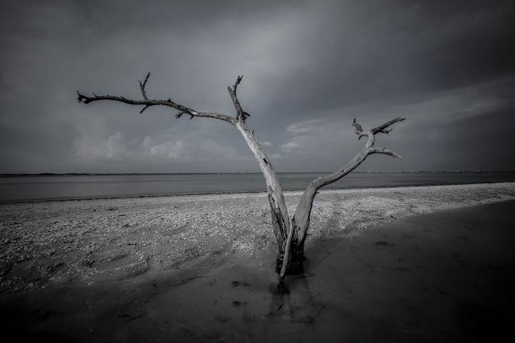 ALONE-