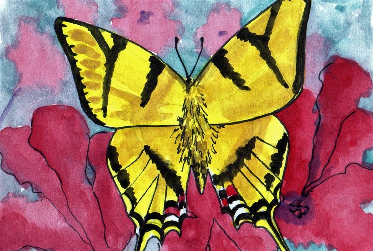 yellow butterfly