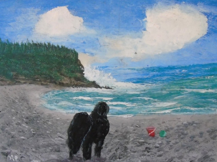 Middle Cove Beach Newfoundland