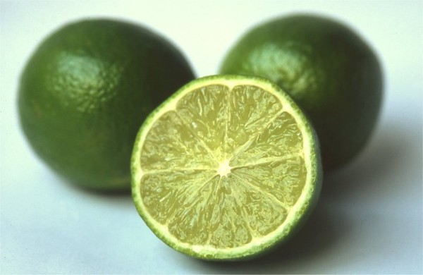Limes 1