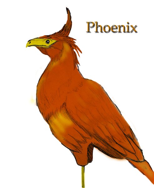 phoenix