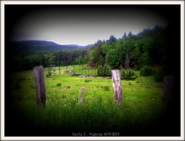 Field Of Dreams