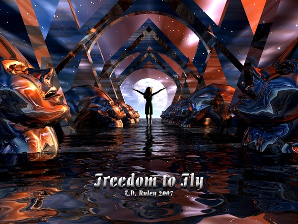 Freedom to Fly