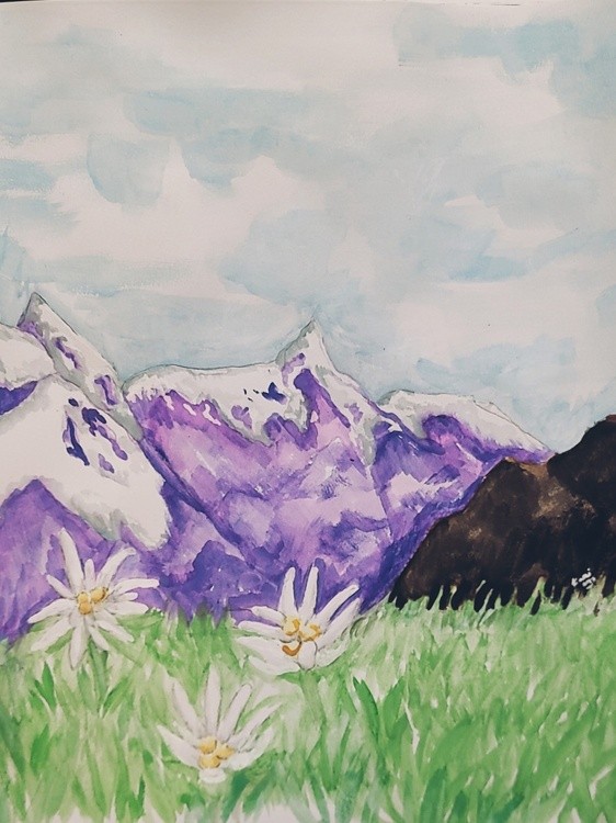 Edelweiss on the Austrian Alps