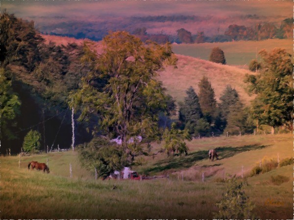 Day For Grazing