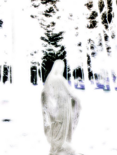 _she_was_my_ghost_