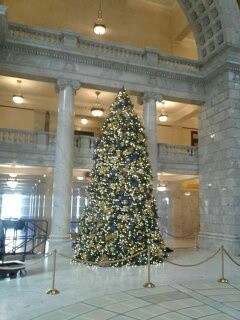 capital tree