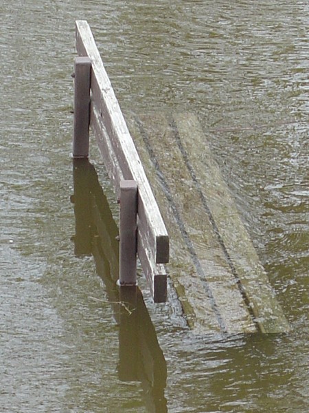 Flooded Bench