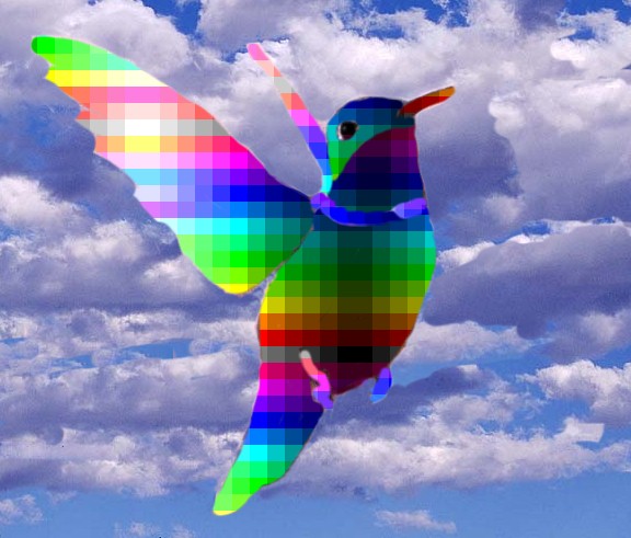 Humming Bird