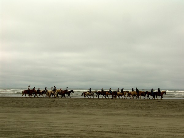 Horses on the Beach