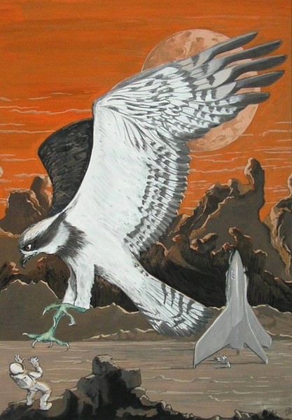 Bird Strike