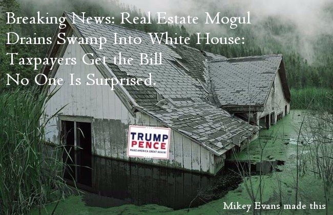 The Swamp 