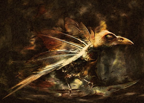 Comp. No. 2-revisited