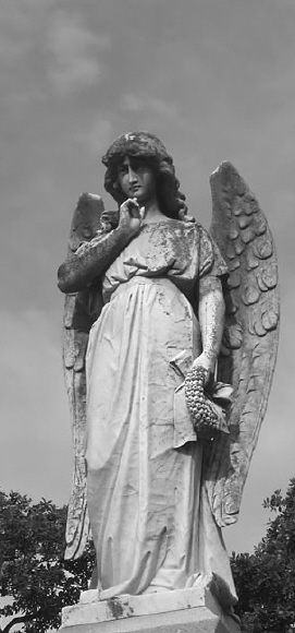 Angel Thought