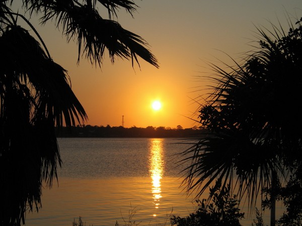 Enjoy the Sunset