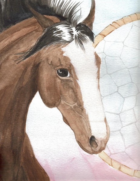 Horse Dreams