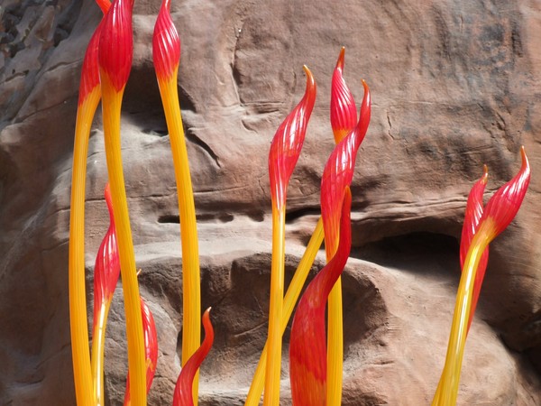 Desert Flames . . .