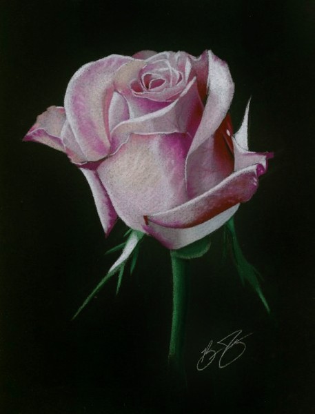 Rose Drawing - How To Draw A Rose Step By Step