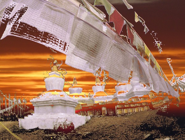 Tshedding  photomontage