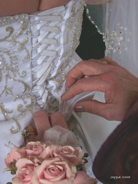 Lisa's Wedding Dress