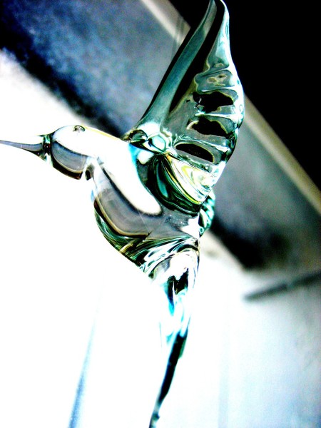 Hummingbird of Glass