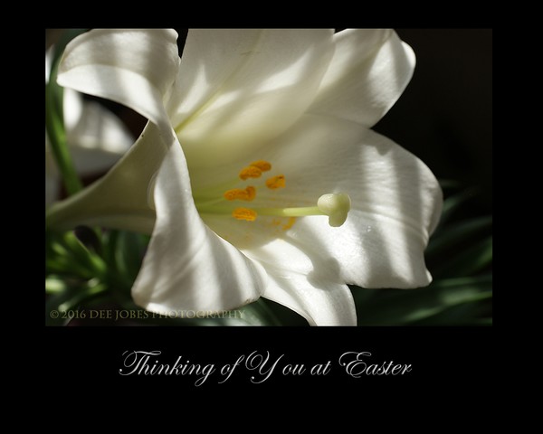 Thinking of You at Easter