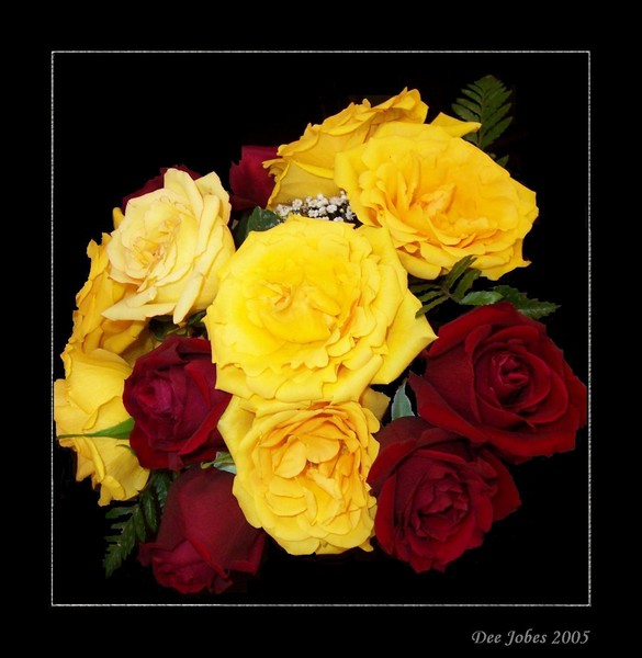 Many Thanks!!!