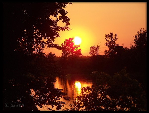 Glorious Reflections