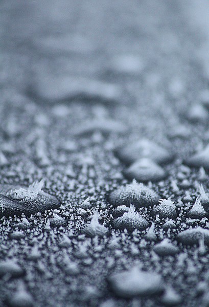 Jack Frost's Visit