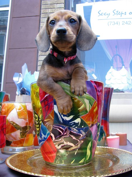 There's a new vendor in town...haha