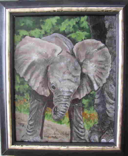 Baby Louie of the Toledo Zoo, Ohio