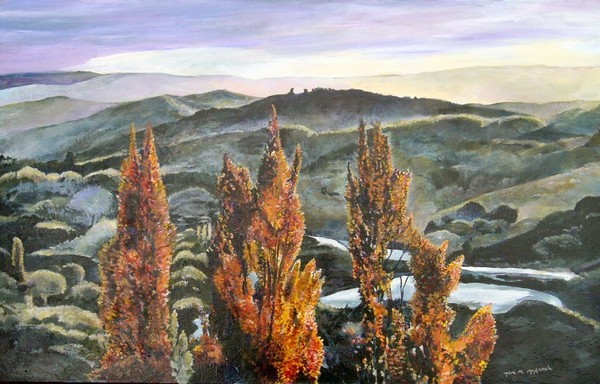 Pohangina Sunrise