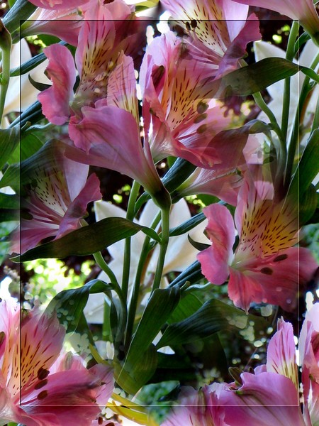 Dreaming Of Spring (Two)