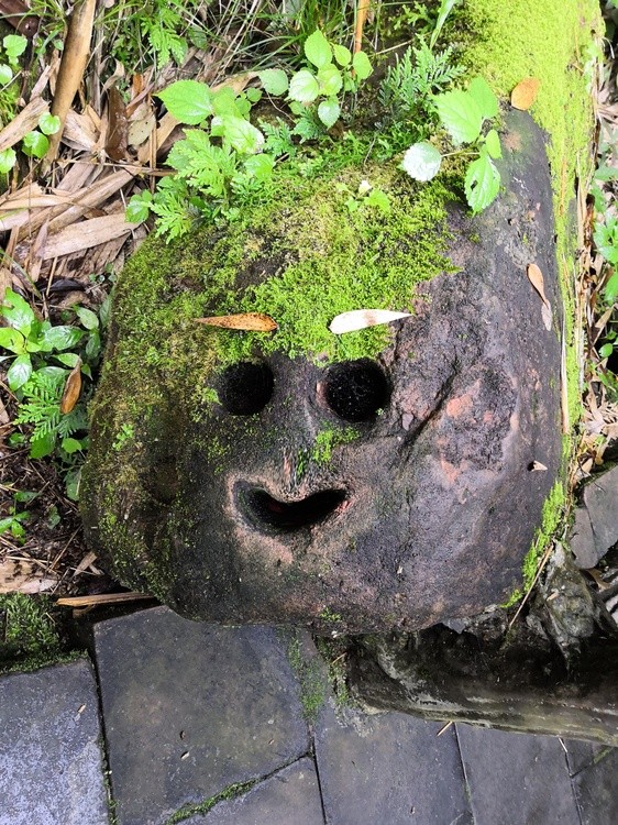 Natural Face