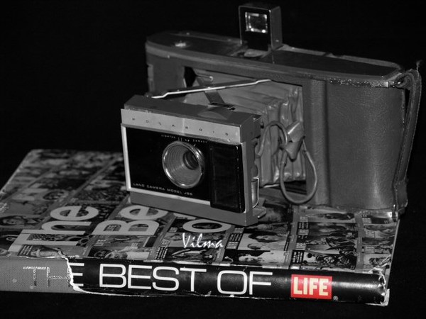 Life's Memories