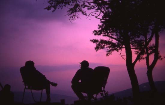 Purple Haze