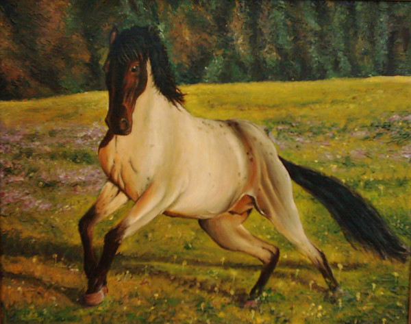 Startled horse.