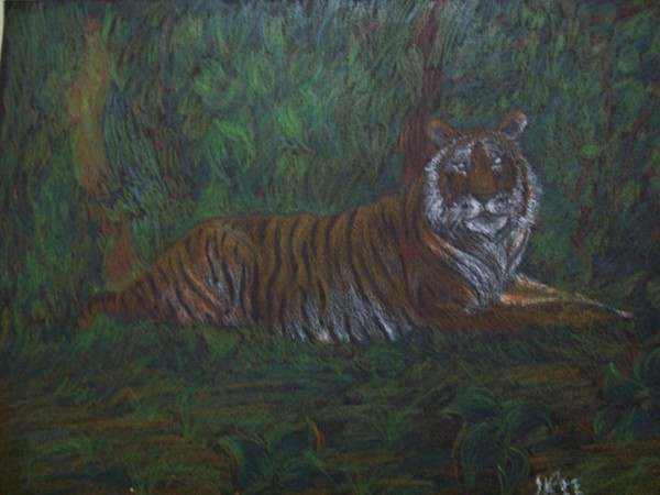 tiger
