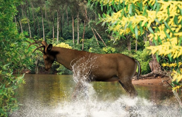 Cooling Off