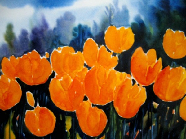 sunny tulips
