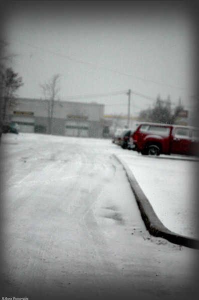 Snowfall in Essex County